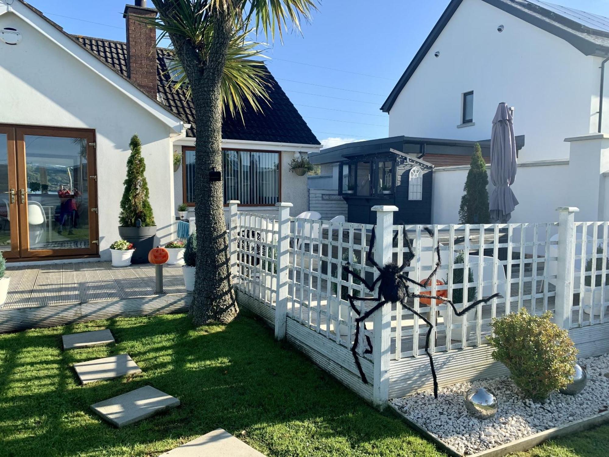 Seaview Cottage On The Island Millbay Extérieur photo